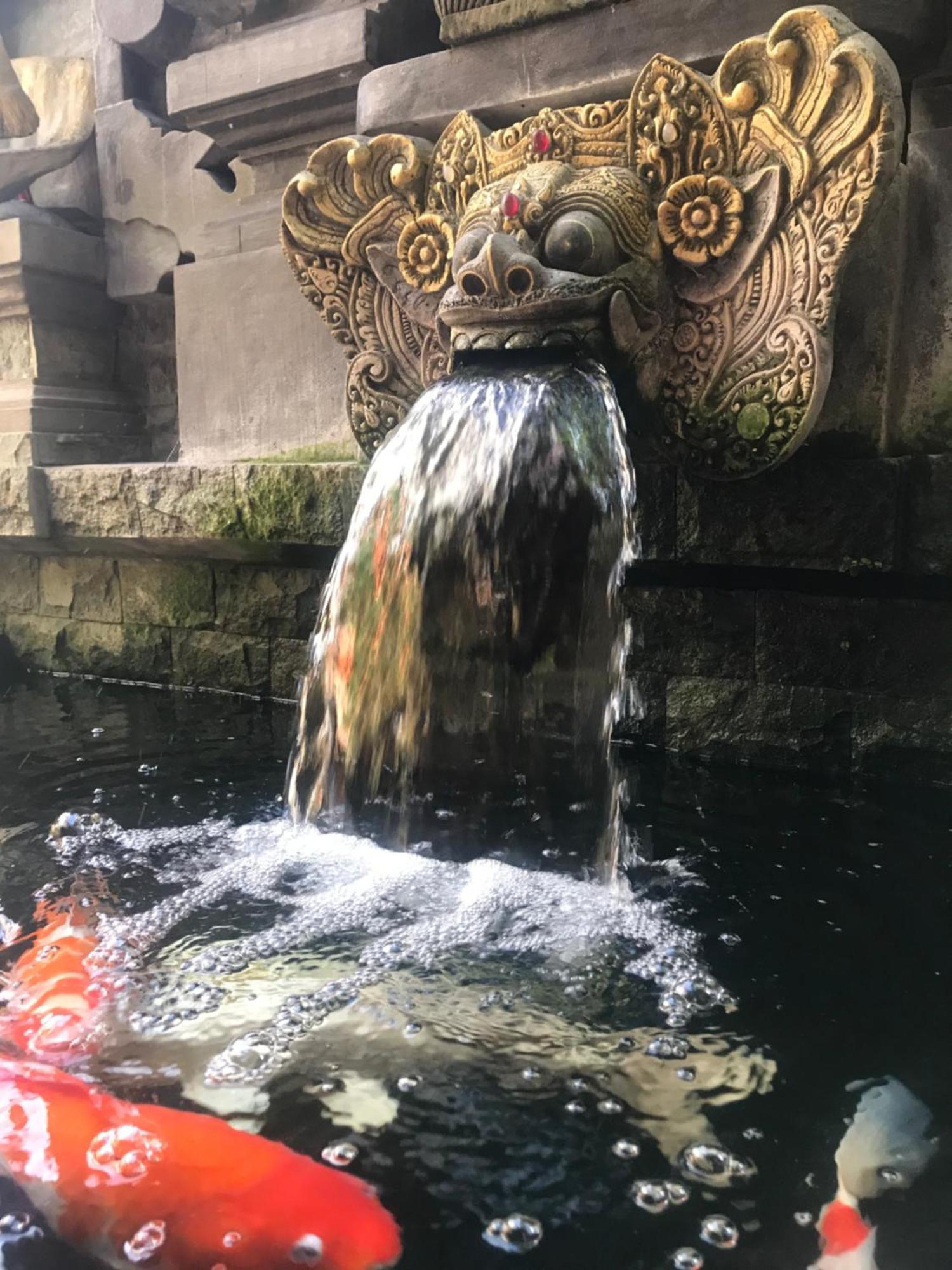 Banana Home Stay Ubud Экстерьер фото